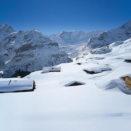 Holiday Home Chalet Ahornen By Interhome Grindelwald Luaran gambar