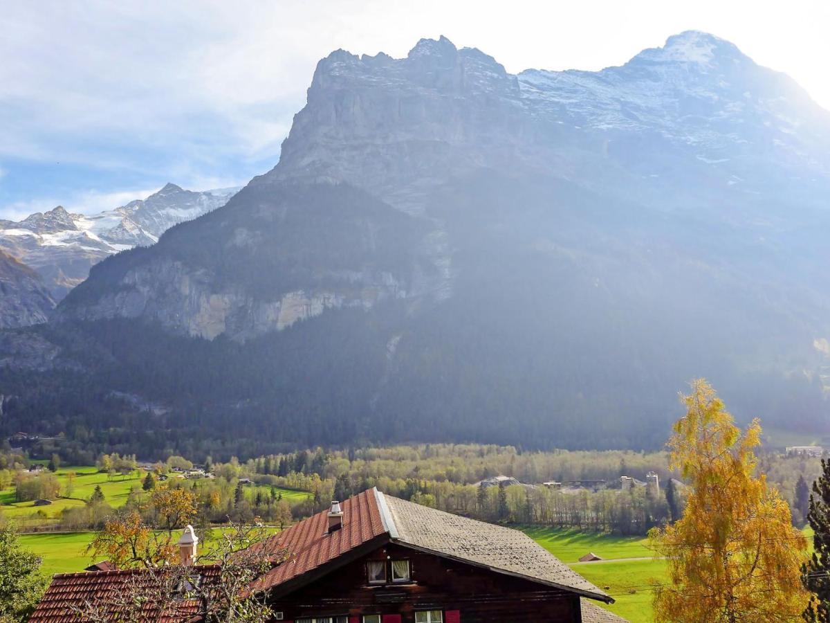 Holiday Home Chalet Ahornen By Interhome Grindelwald Luaran gambar