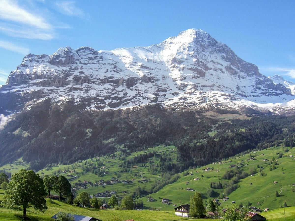 Holiday Home Chalet Ahornen By Interhome Grindelwald Luaran gambar
