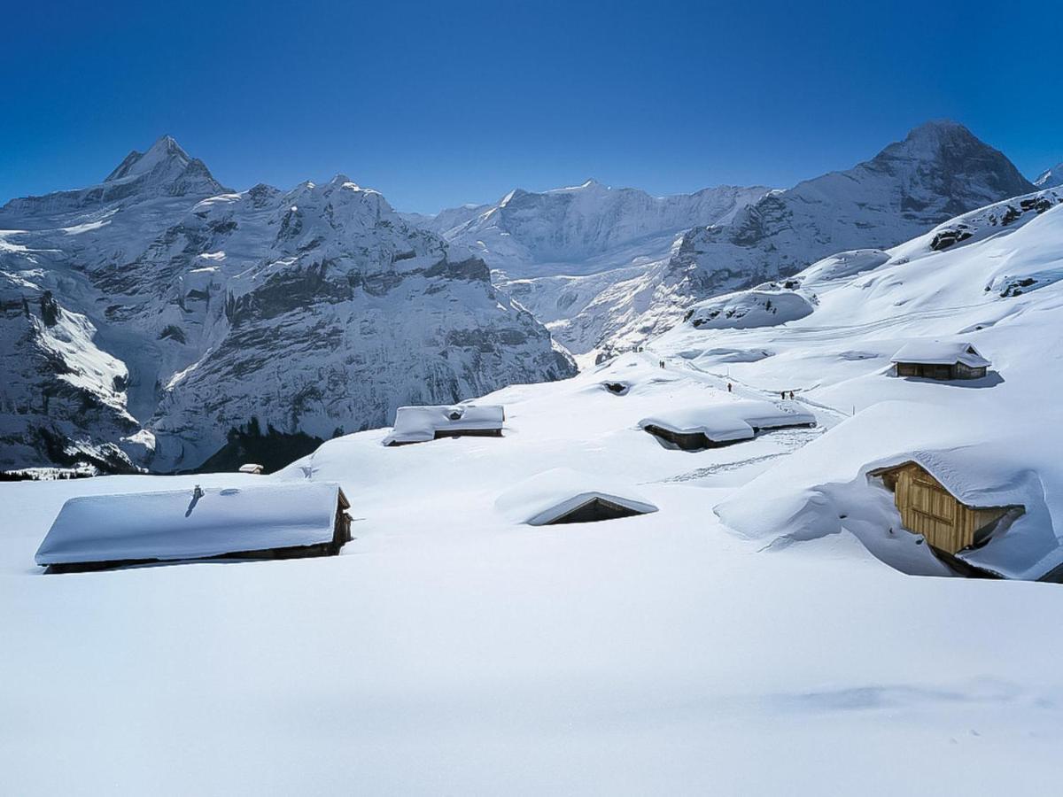 Holiday Home Chalet Ahornen By Interhome Grindelwald Luaran gambar