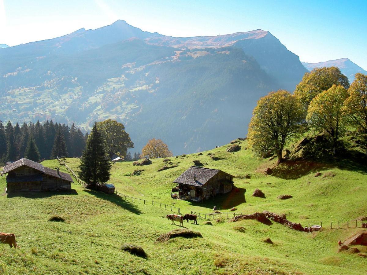 Holiday Home Chalet Ahornen By Interhome Grindelwald Luaran gambar